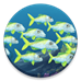 CodyCross → Collective Nouns