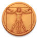 CodyCross → Human Body