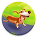 CodyCross → Pets