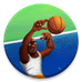 CodyCross → Sports Stars